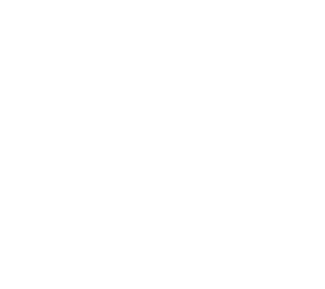 emotion-white logo